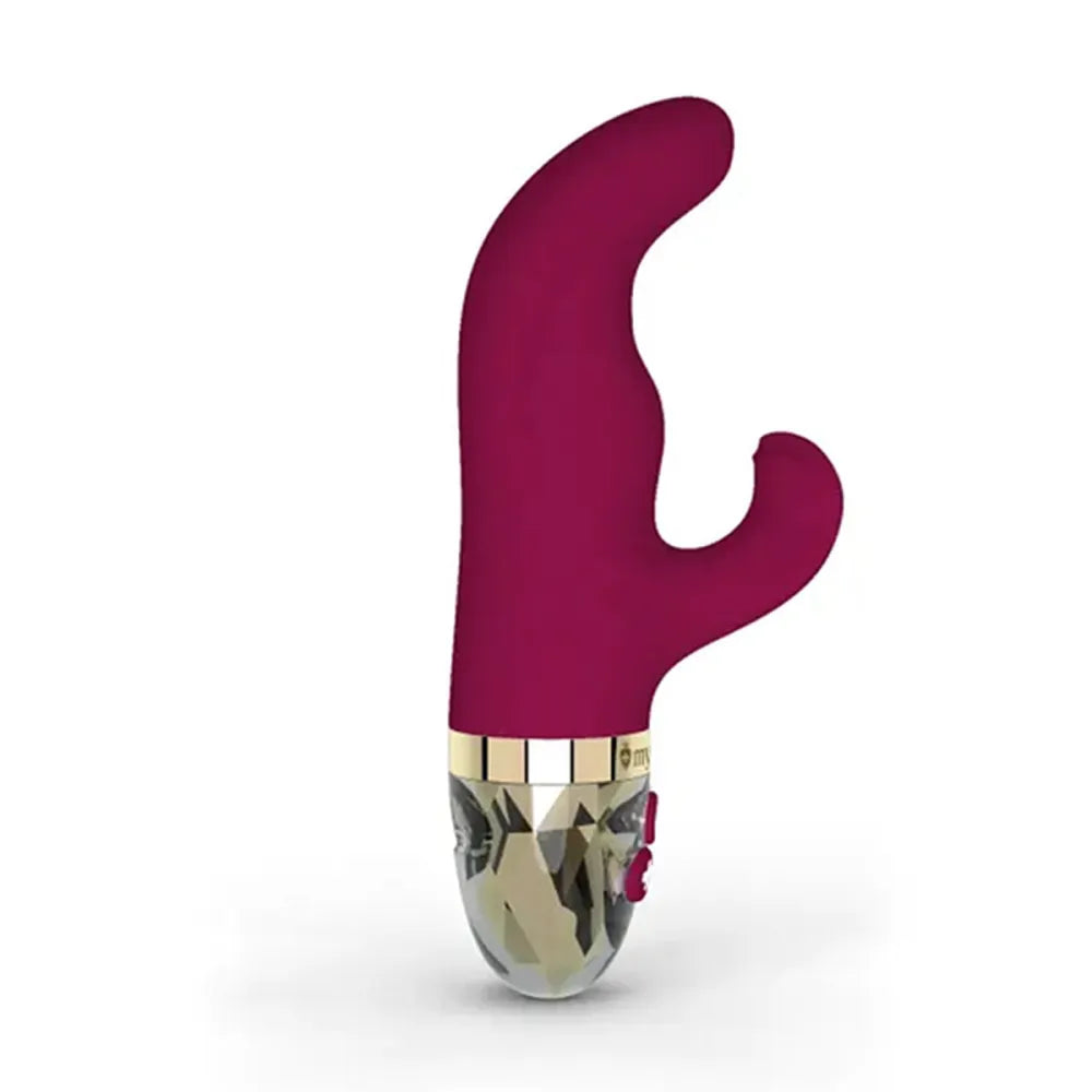 Anale vibrators