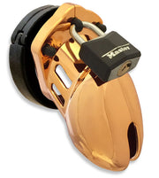 CB-X - CB6000S Kuisheidskooi - Goud