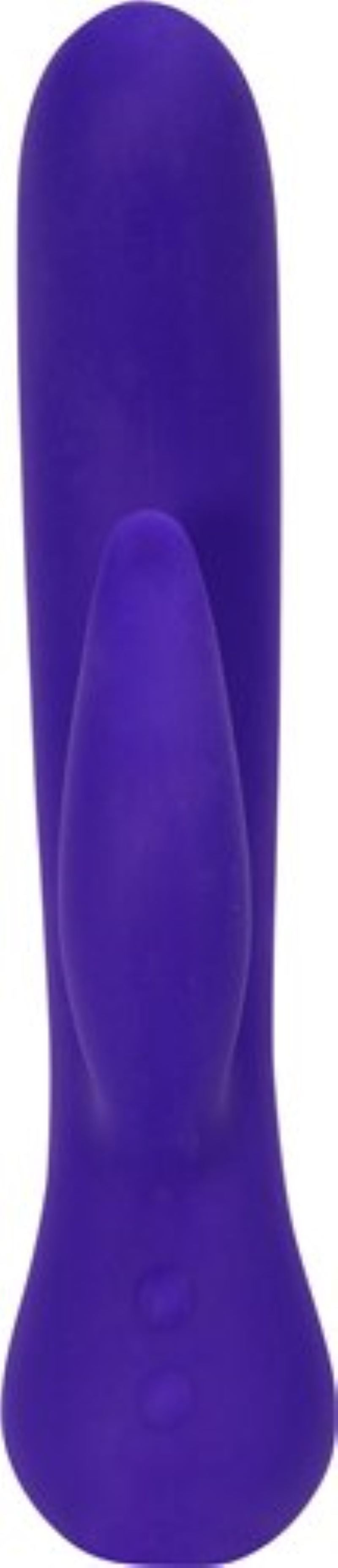 The Majestic Swan Special Edition - Paars