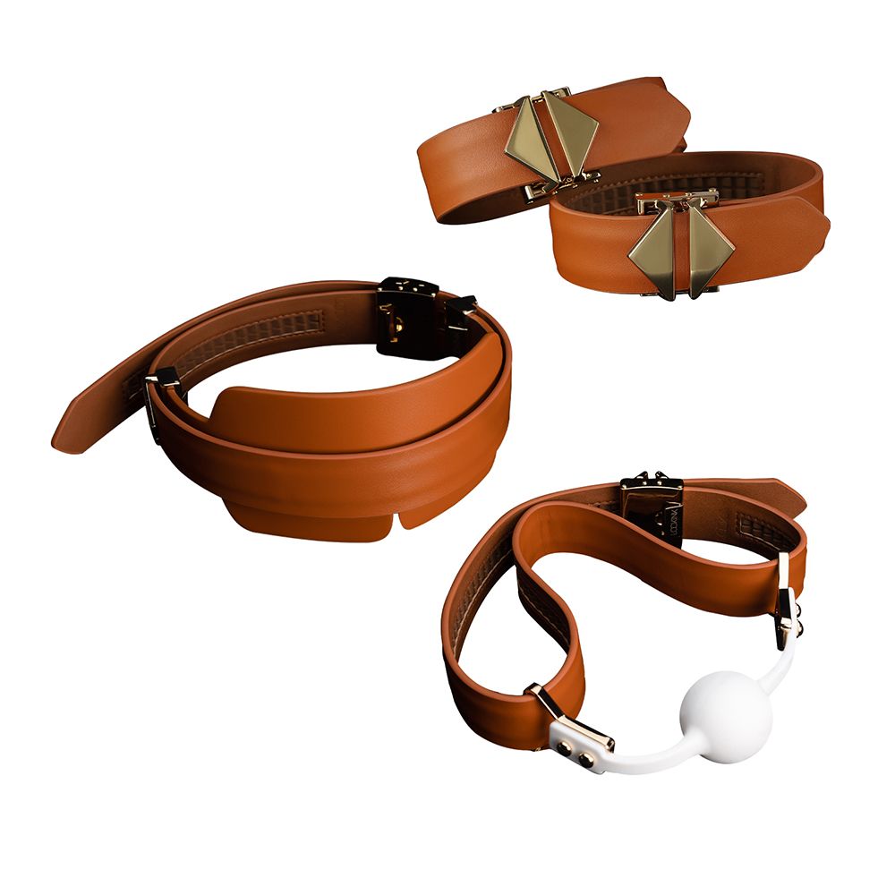 LOCKINK - Bondage &amp; Restraint Set - bruin