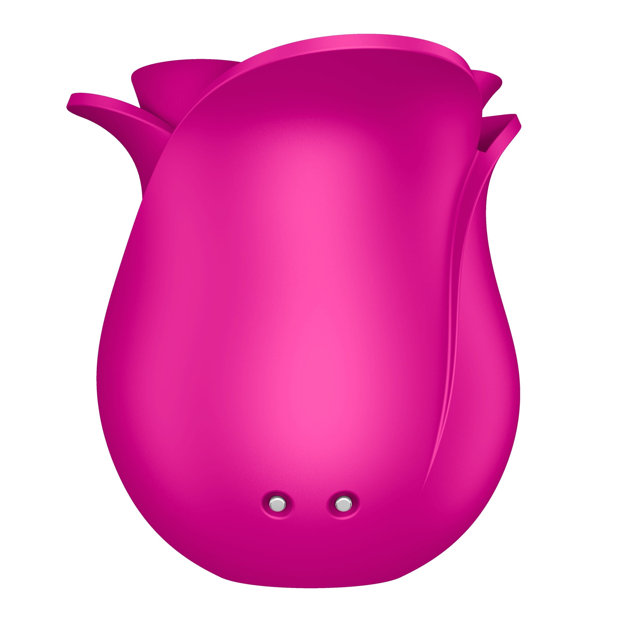 Satisfyer Pro 2 Moderne Bloesem