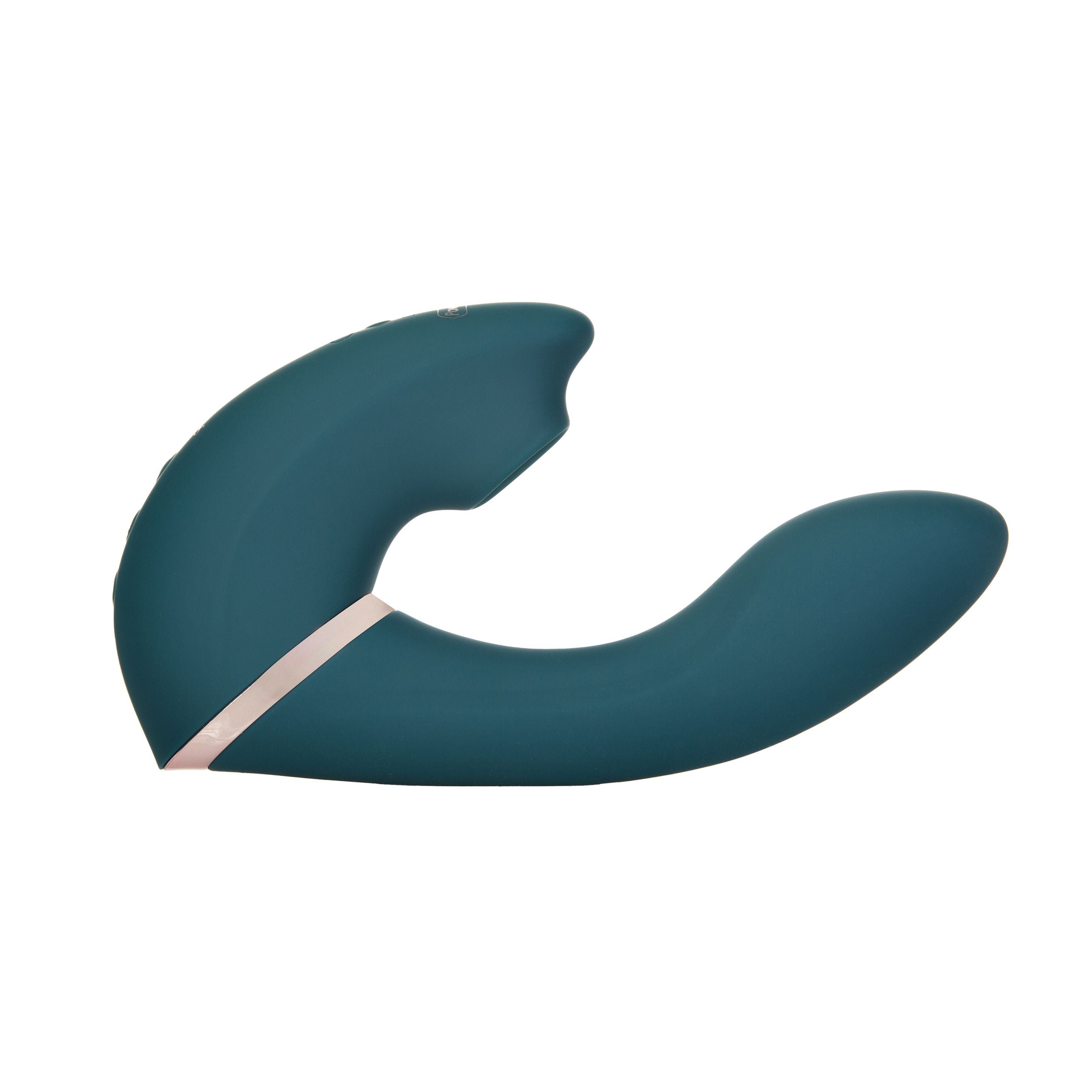 Swan - The Monarch Swan Transforms Teal