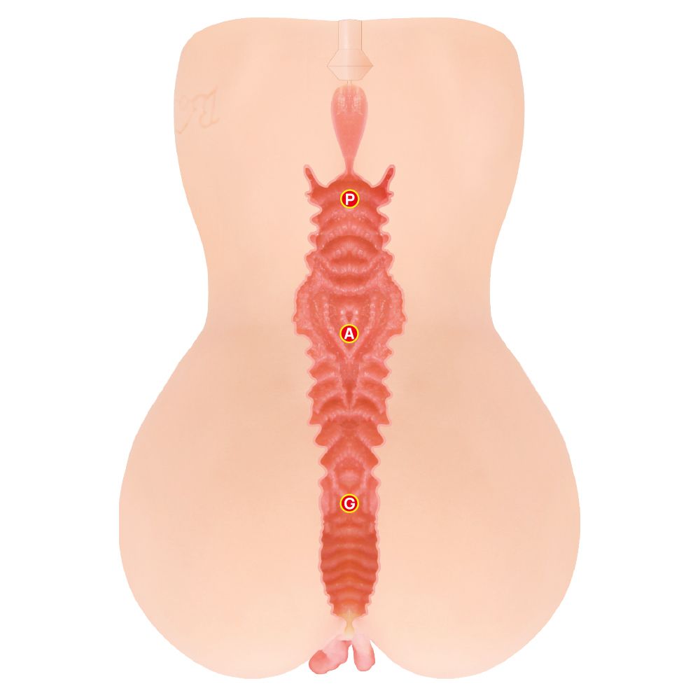 Kokos - Onahole Edition 001 Double Layer XL Masturbator