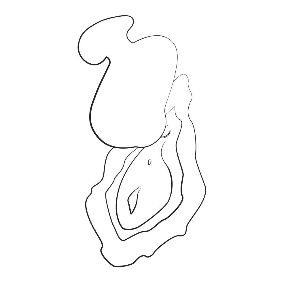 ROMP by Womanizer - Kiss Compacte Vibrator