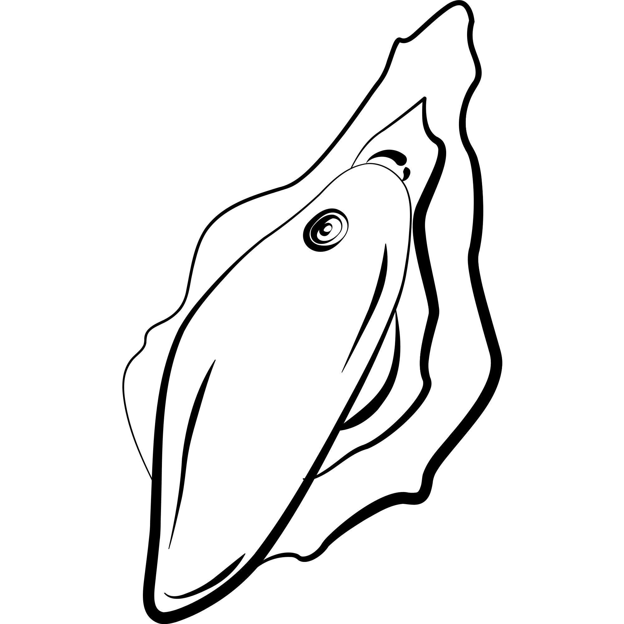 ROMP by Womanizer - Wave Oplegvibrator