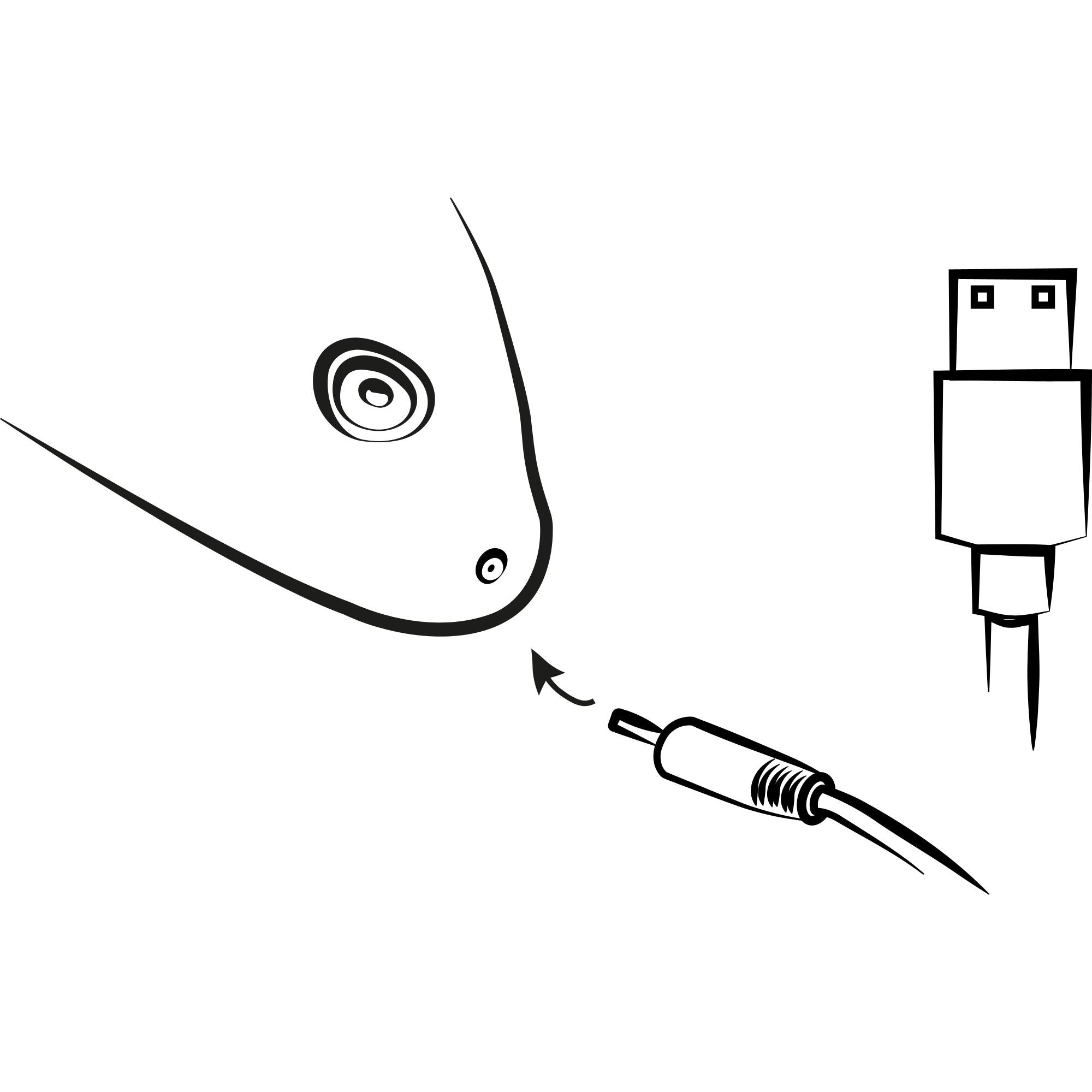 ROMP by Womanizer - Wave Oplegvibrator