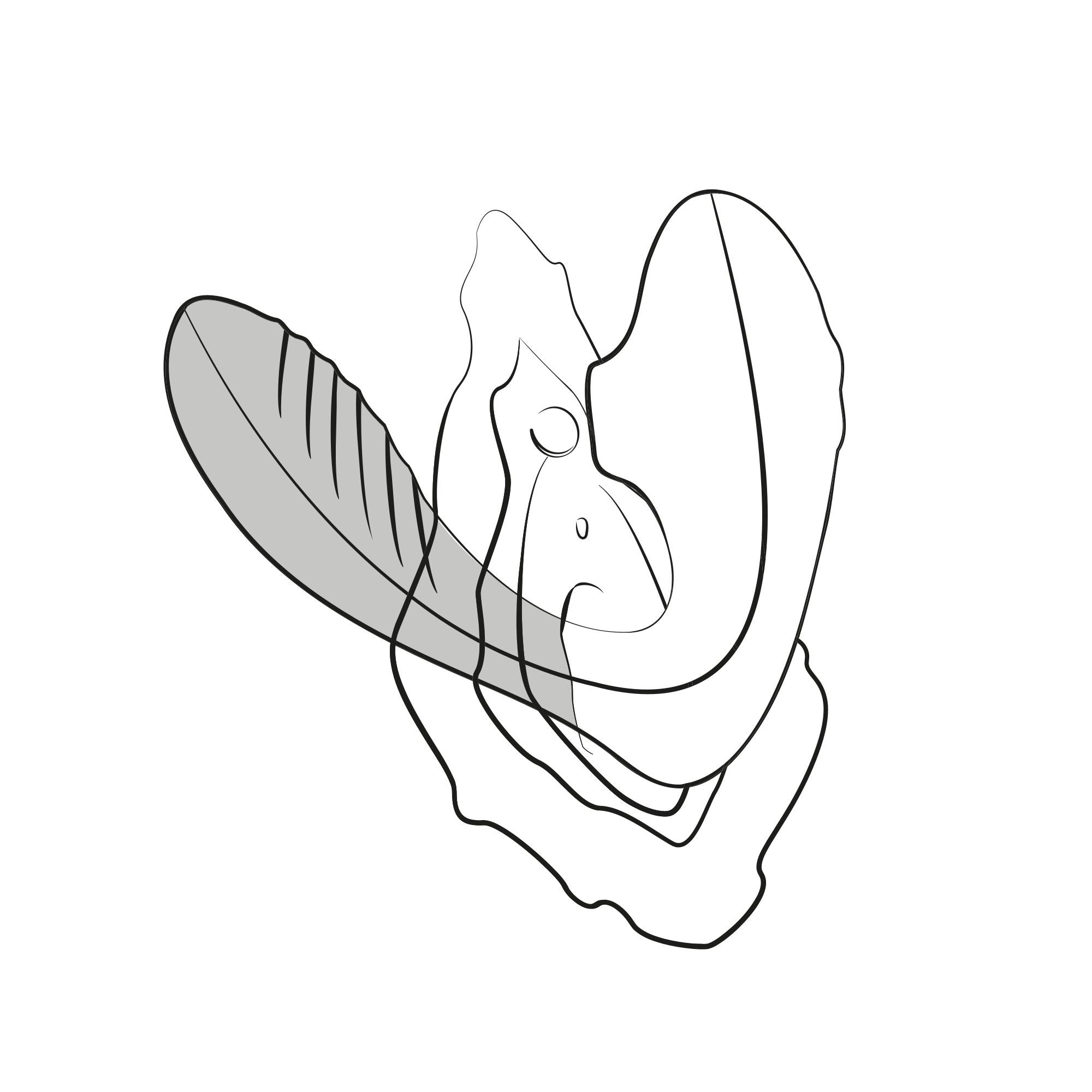 ROMP van Womanizer - Reverb Dubbel Plezier 2 in 1