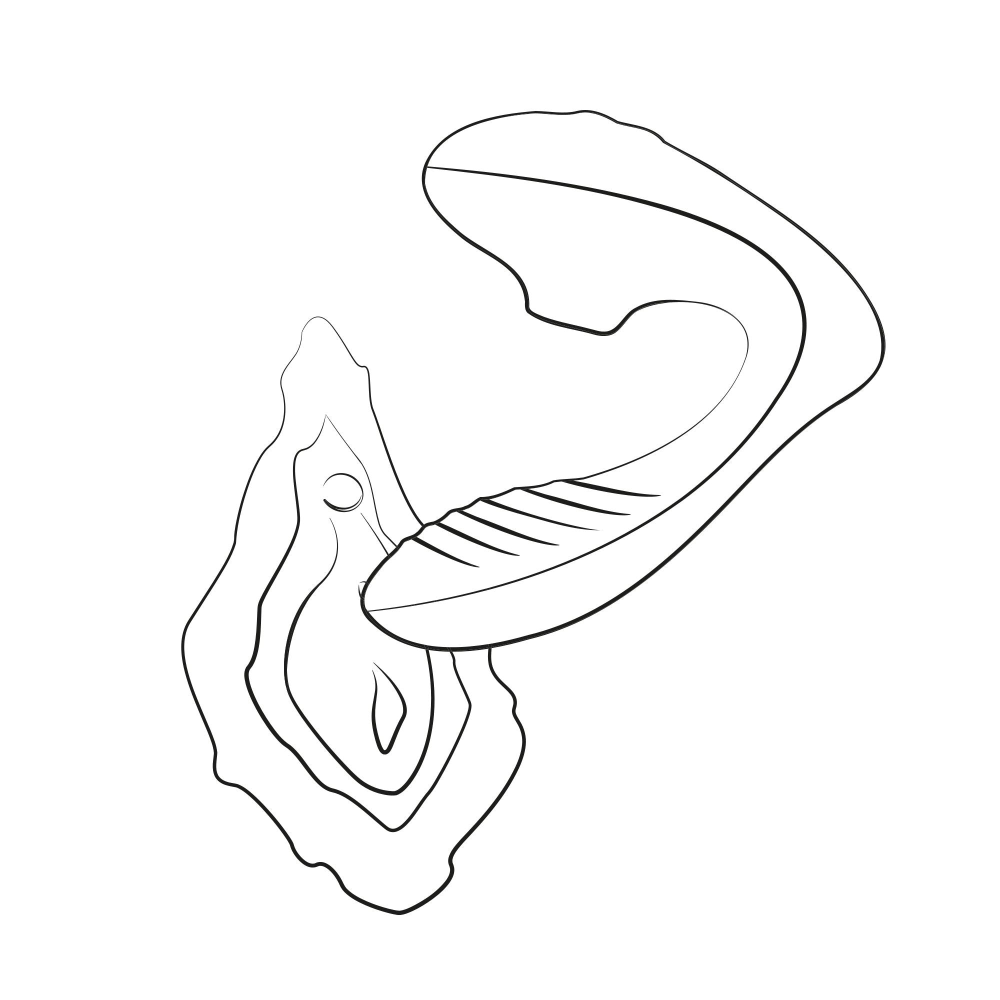 ROMP van Womanizer - Reverb Dubbel Plezier 2 in 1